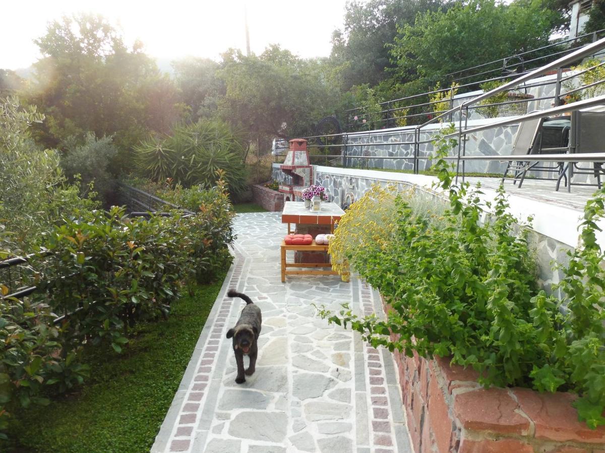 Helianthos Villa - Apartment No1 PalaiónTsiflíkion Zewnętrze zdjęcie
