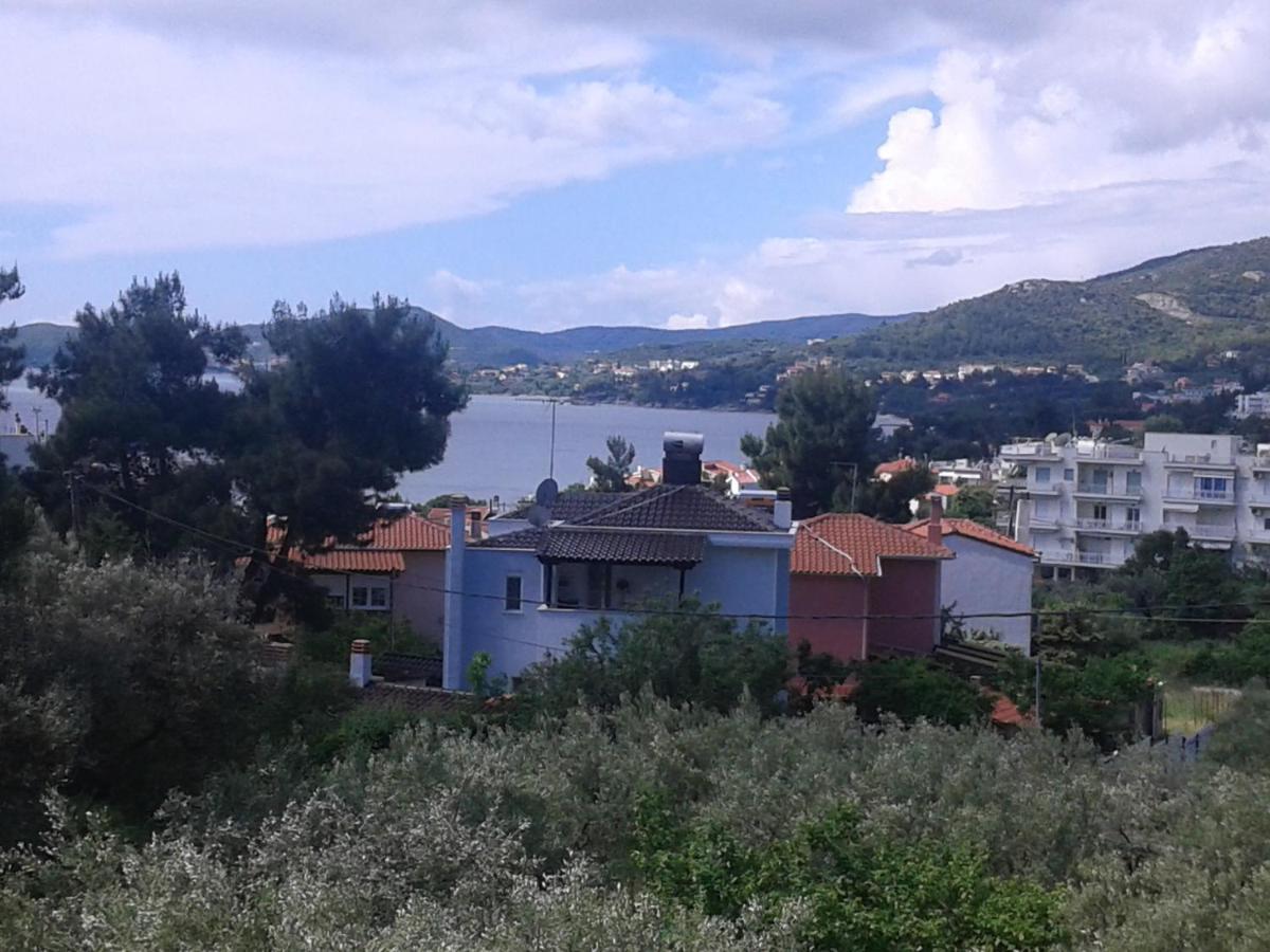 Helianthos Villa - Apartment No1 PalaiónTsiflíkion Zewnętrze zdjęcie